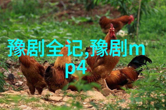 王翠芬